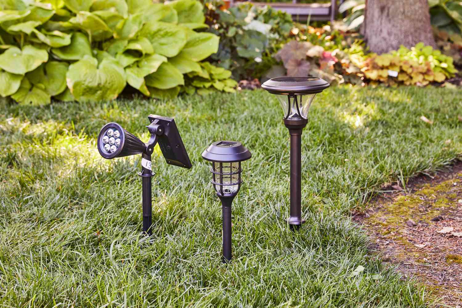 What Are The Best Outdoor Solar Lights?