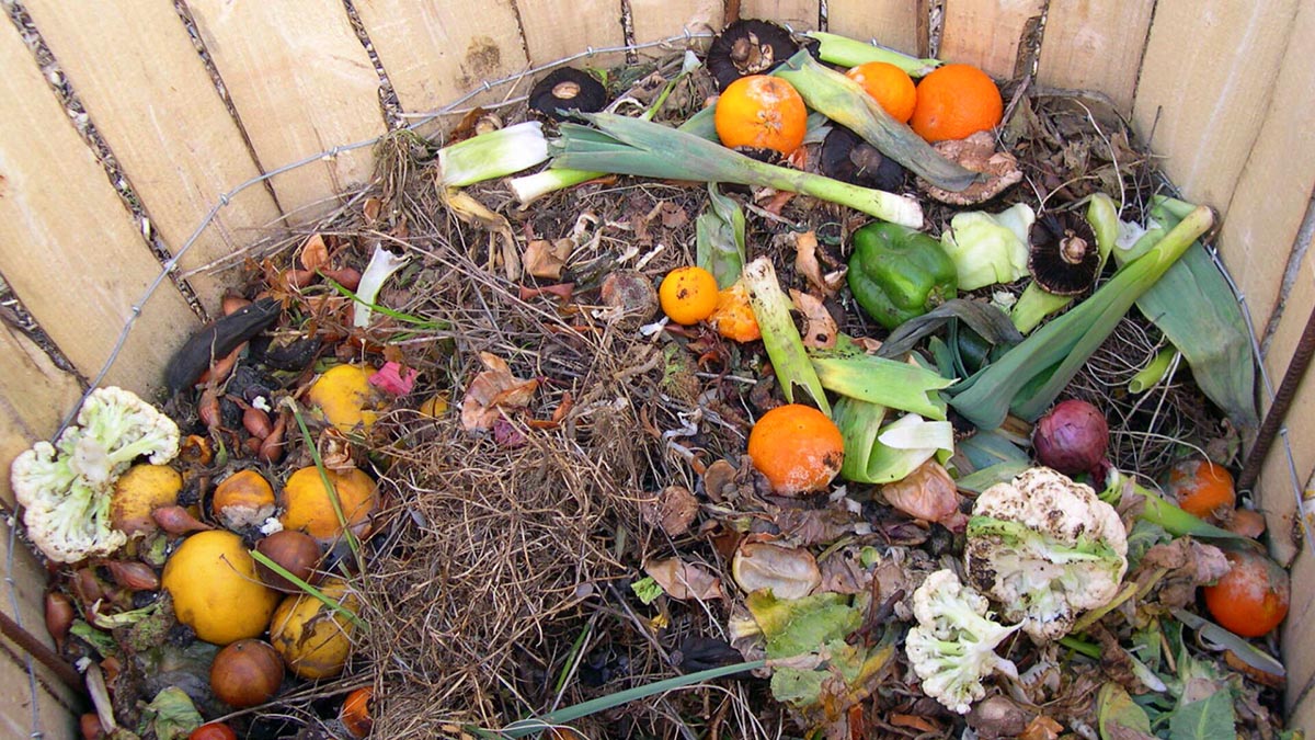 What Can Be Found In A Compost Bin