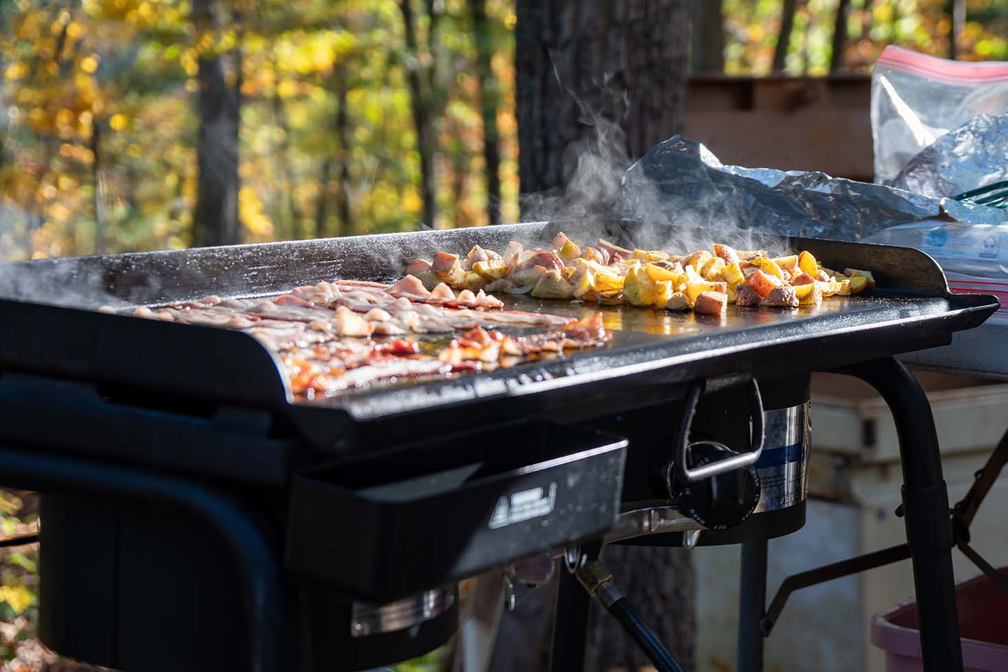 What Can You Cook On An Outdoor Griddle