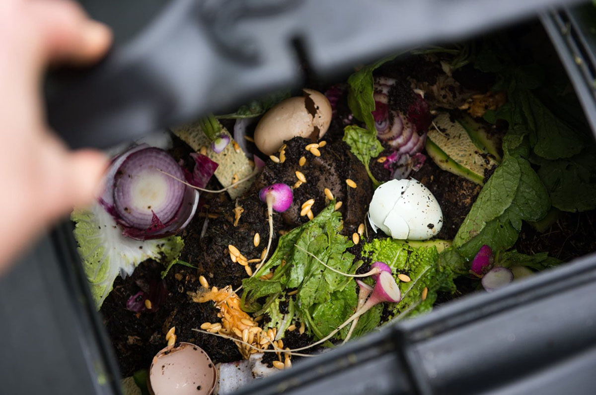 What Can You Put In A Compost Bin