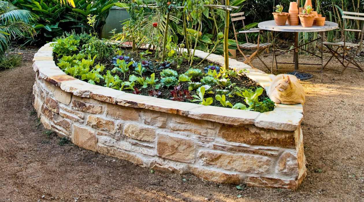 What Do I Need For A Raised Garden Bed