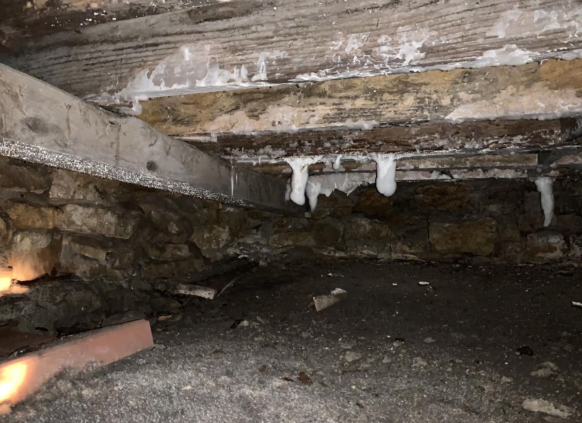 What Does Mold In A Crawl Space Look Like