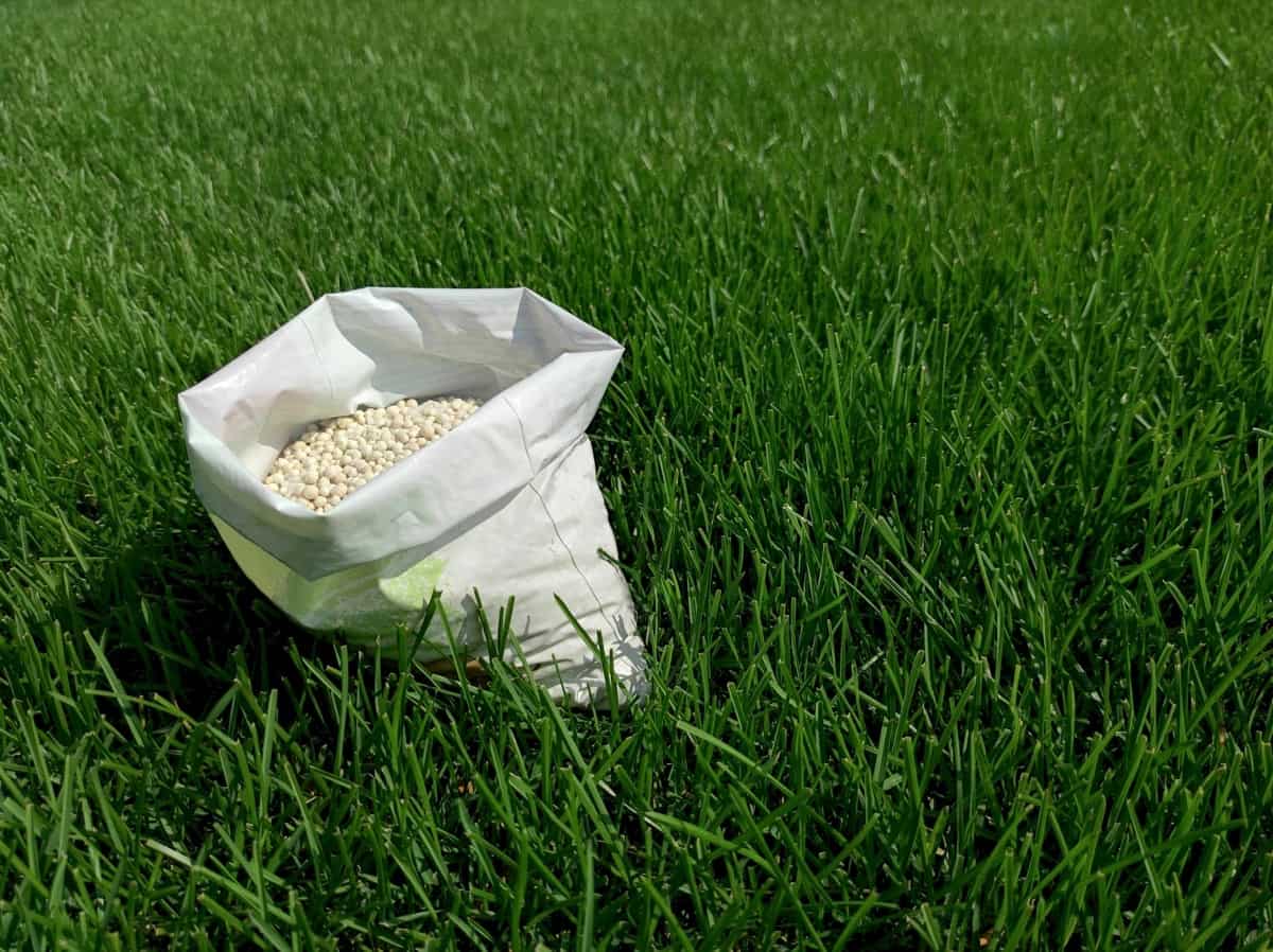 What Fertilizer To Use In Spring For Bermuda Grass