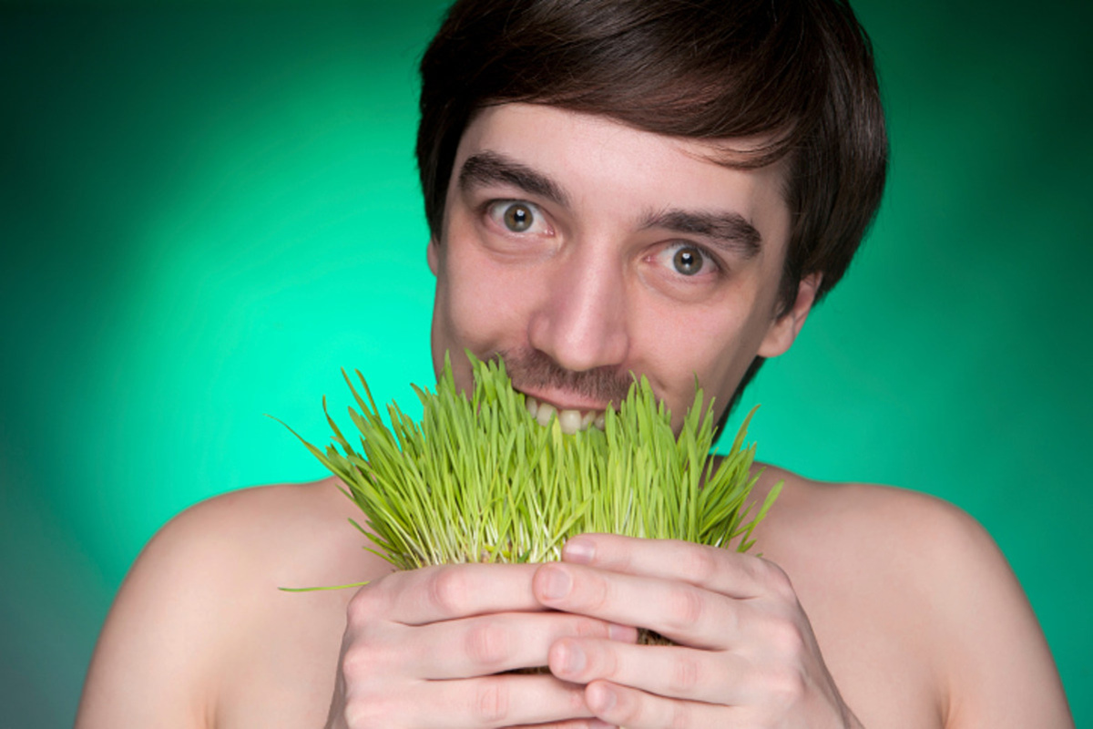 What Happens If A Human Eats Grass
