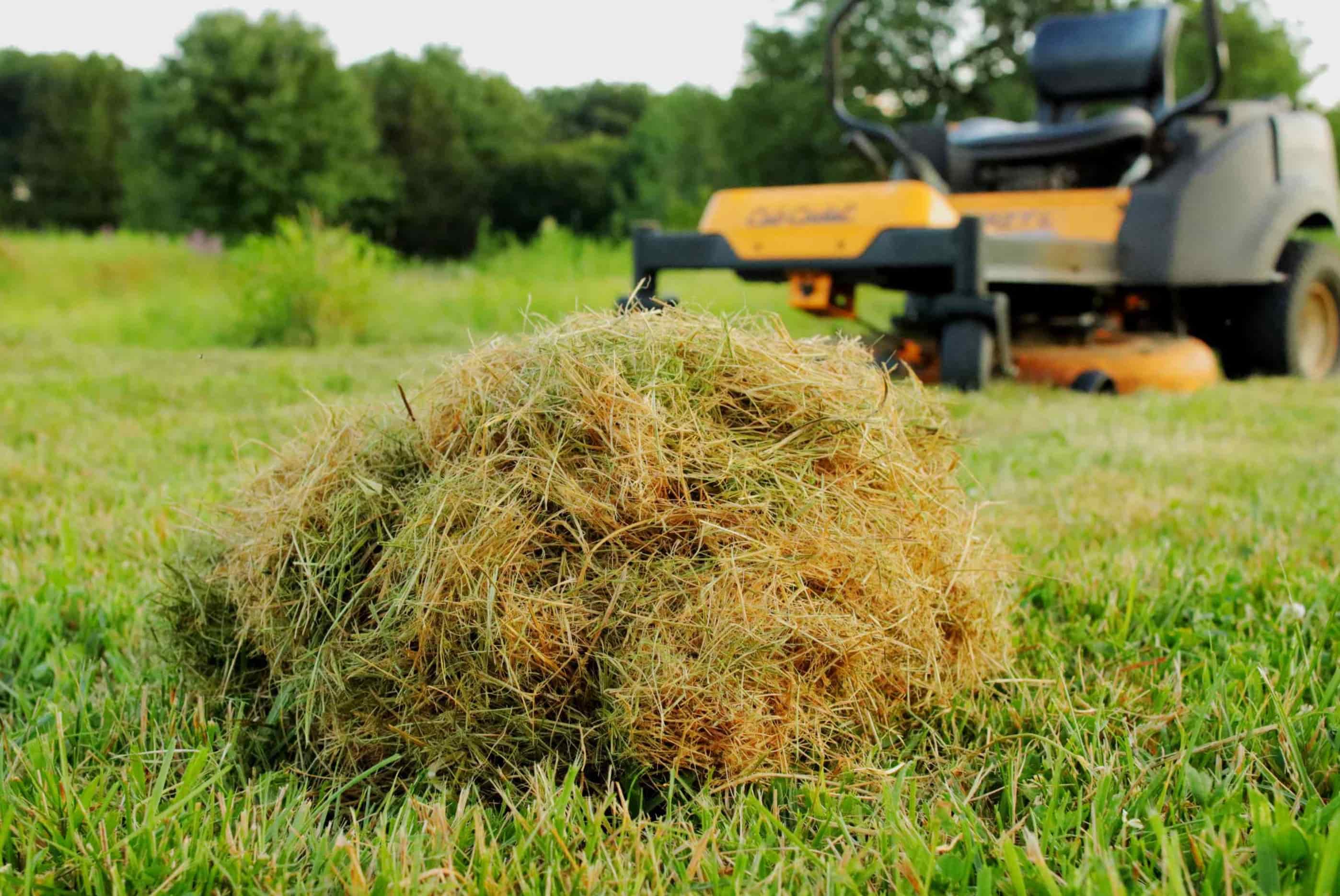 what-happens-if-you-don-t-pick-up-grass-clippings-storables