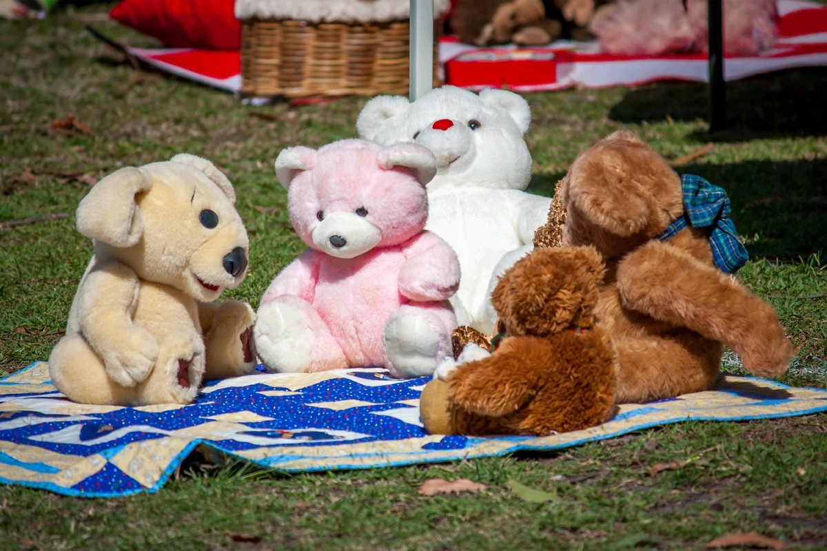 What Is A Teddy Bear Picnic