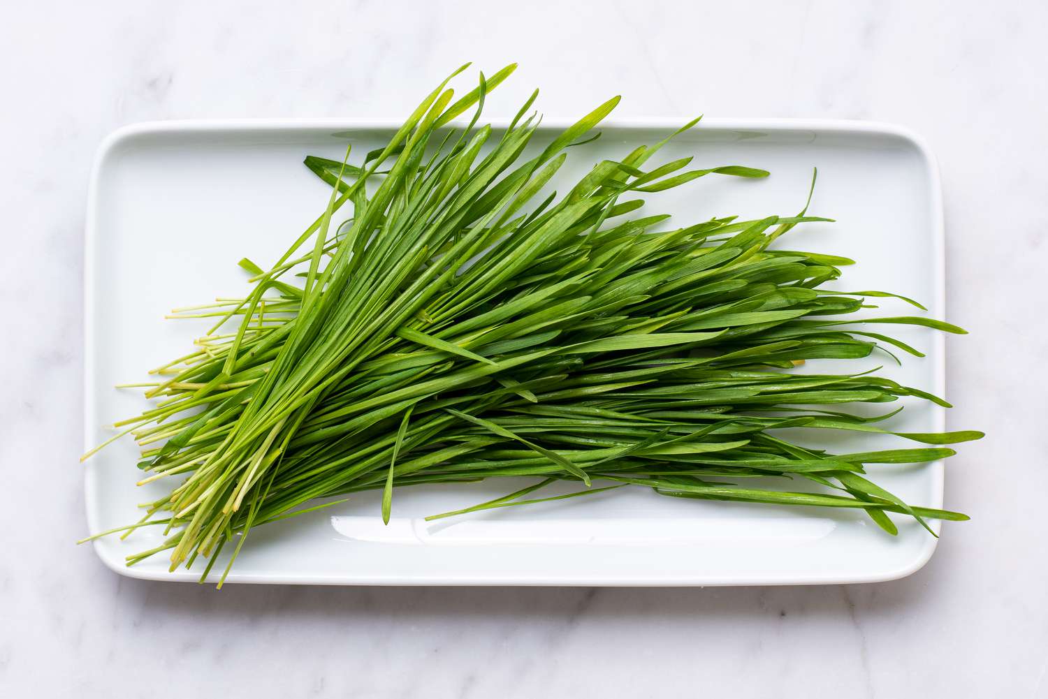 What Is Barley Grass