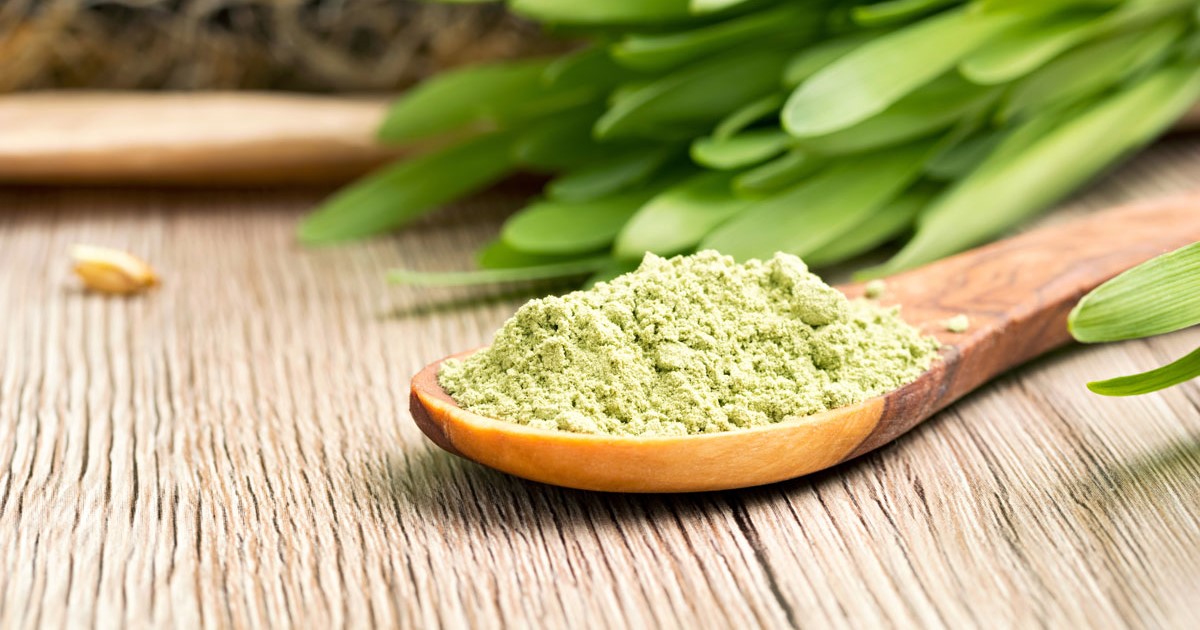 What Is Barley Grass Juice Powder