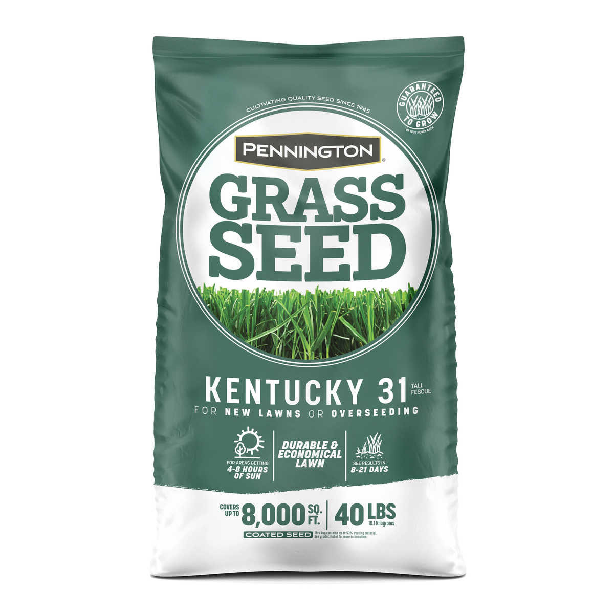 What Is K31 Grass Seed