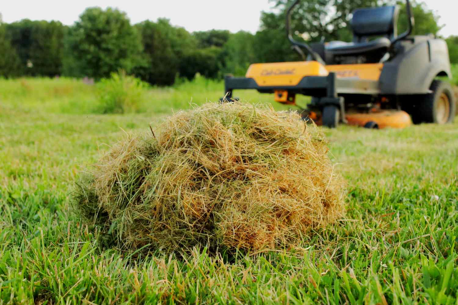 What Is Mulching Grass Clippings