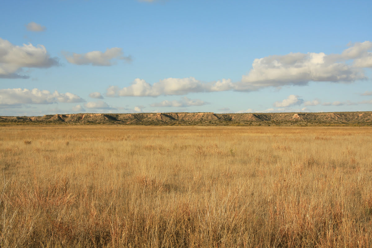What Is Short Grass Prairie