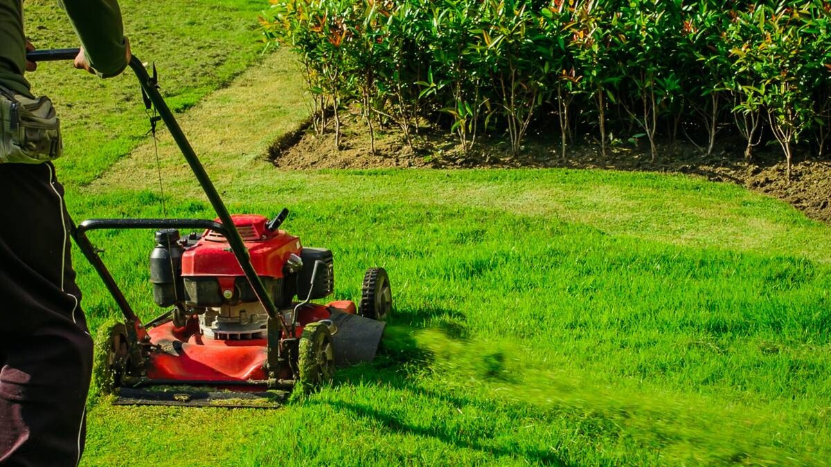 What Is The Average Price For Grass Cutting