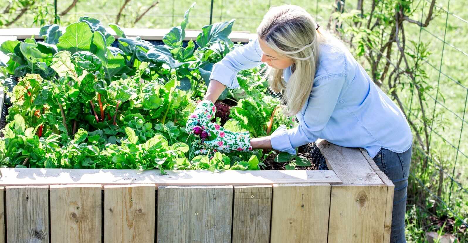What Is The Benefit Of A Raised Garden Bed
