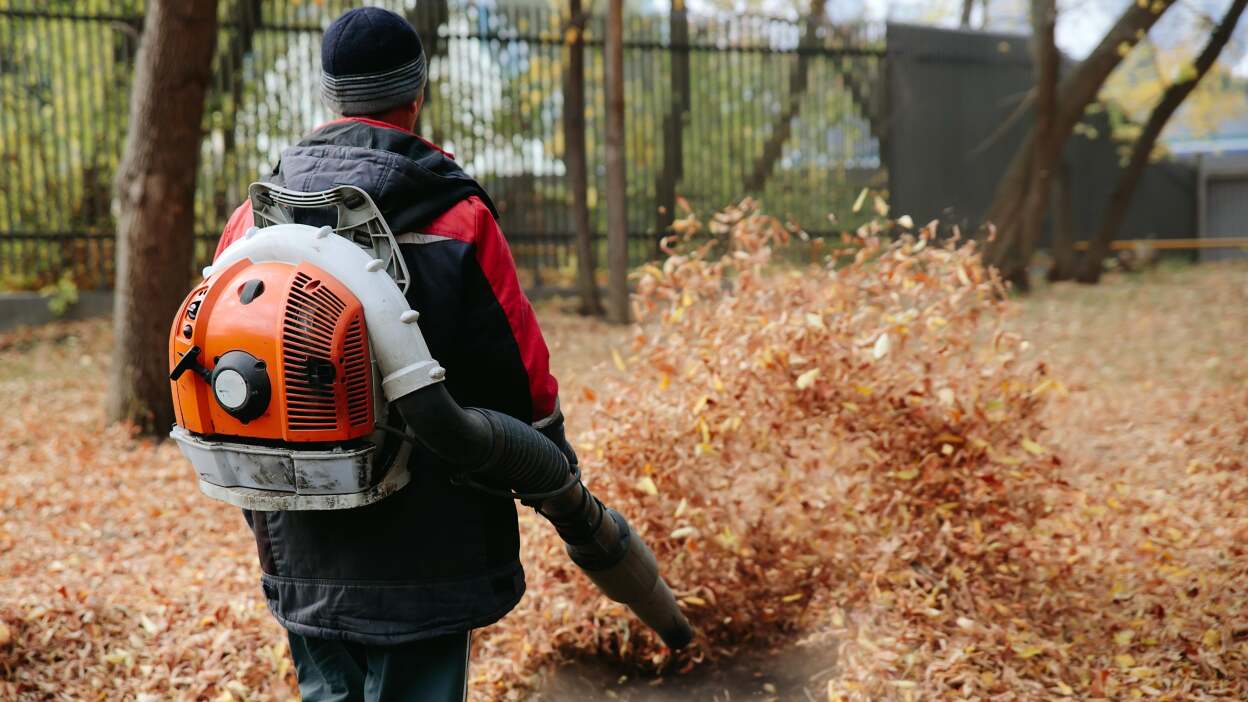 What Is The Best Gas-Powered Leaf Blower