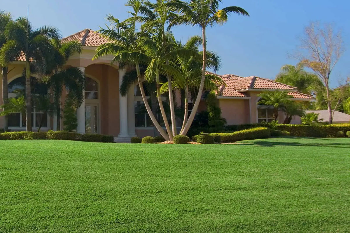 What Is The Best Grass For Florida