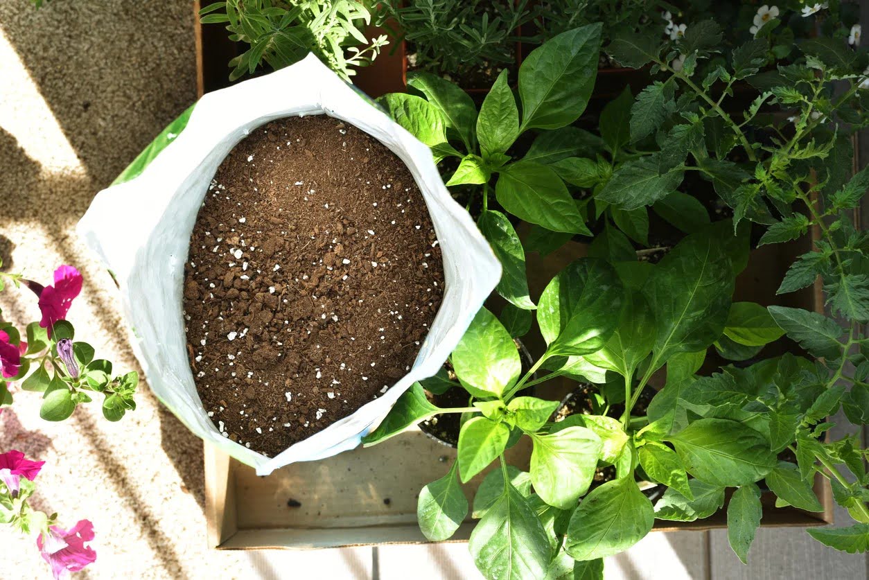 What Is The Best Soil For Outdoor Potted Plants