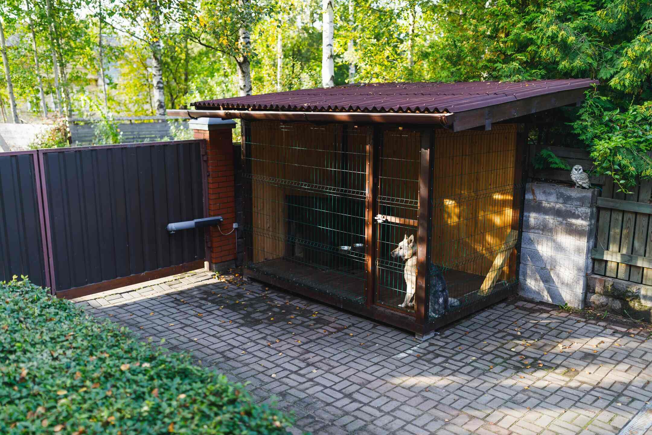 What Is The Best Surface For An Outdoor Dog Kennel