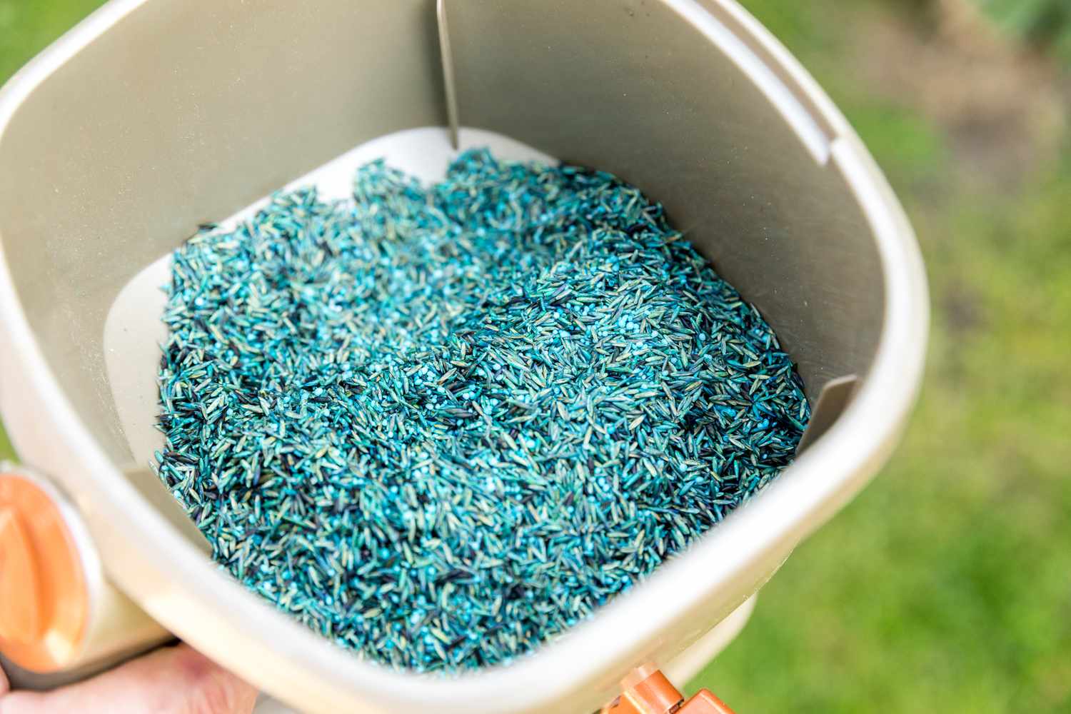 What Is The Blue Coating On Grass Seed