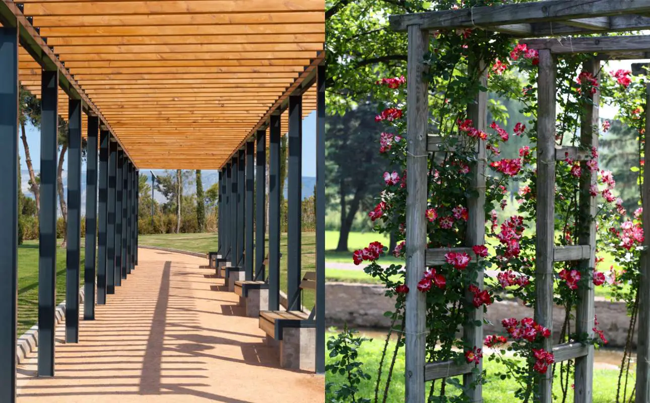 What Is The Difference Between A Pergola And A Trellis?
