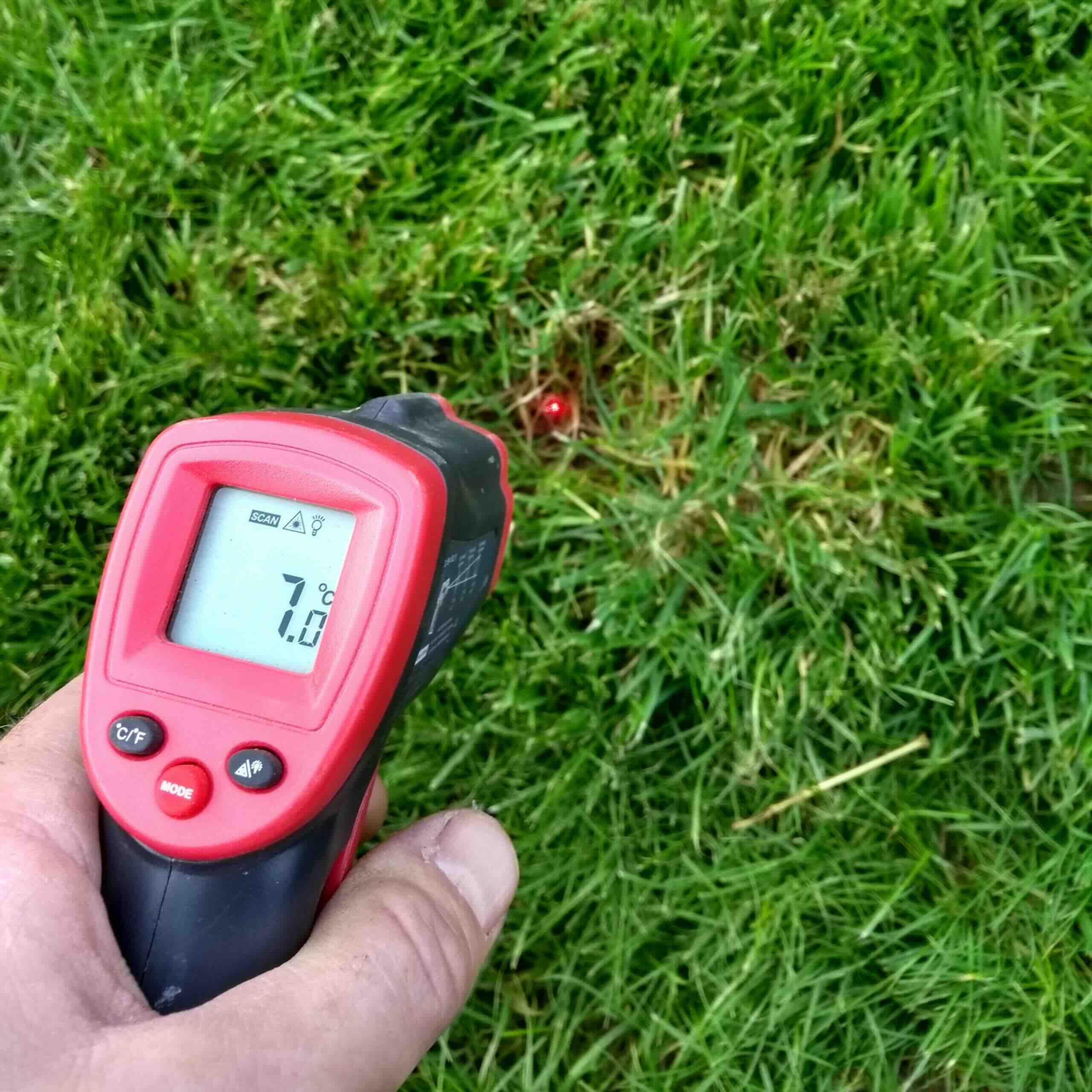 What Is The Optimum Growing Temperature For Warm-Weather Grass