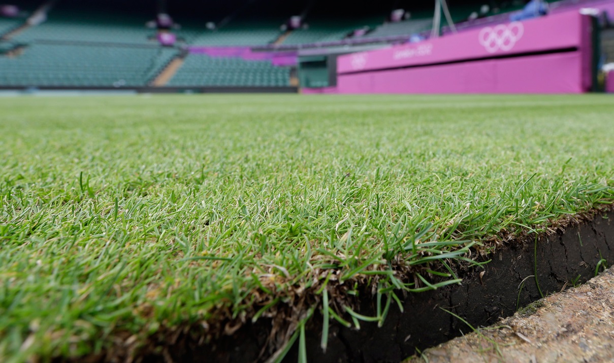 What Kind Of Grass Is Wimbledon