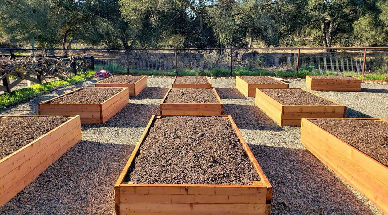 What Should You Fill A Raised Garden Bed With