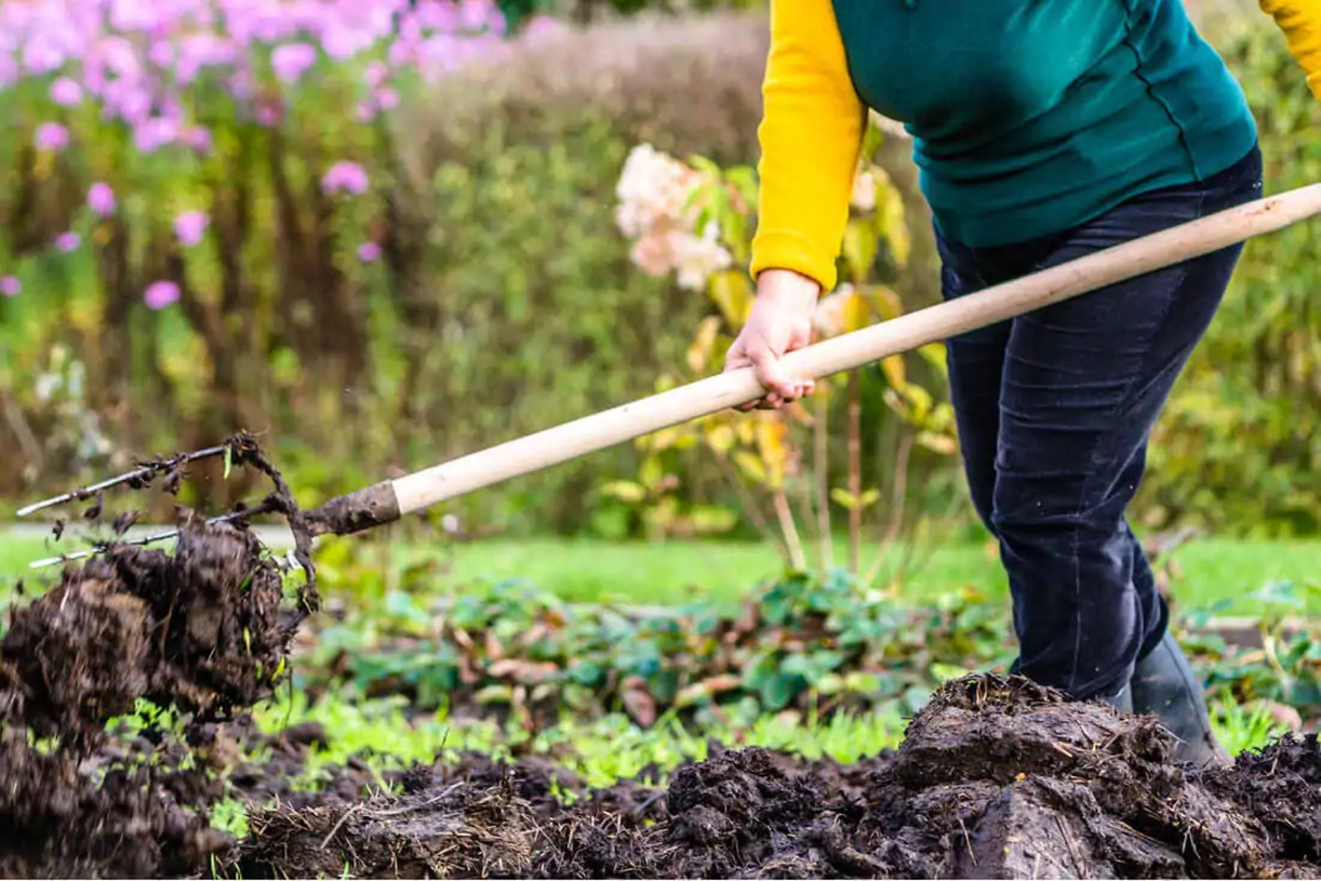 What Time Can Gardeners Start Work