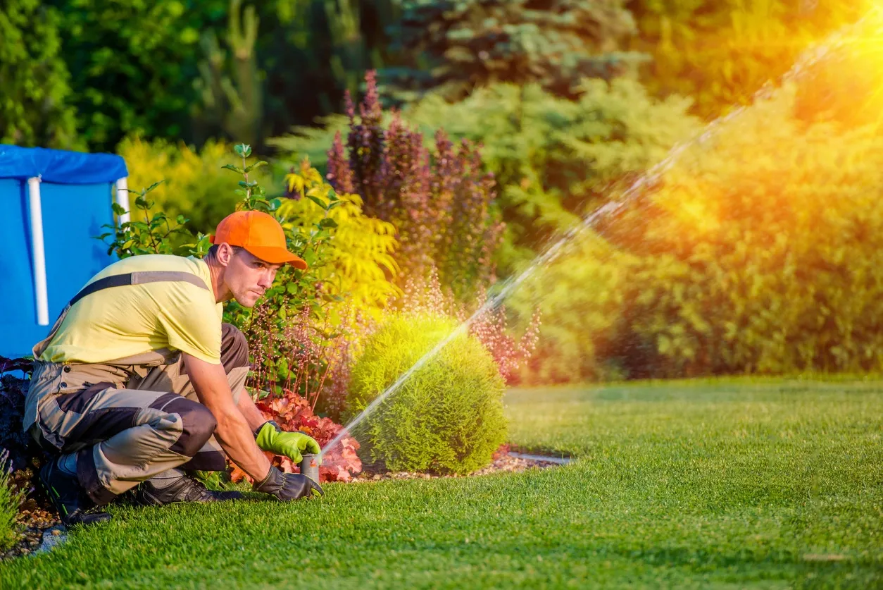 What Time Is The Best Time To Water Your Grass
