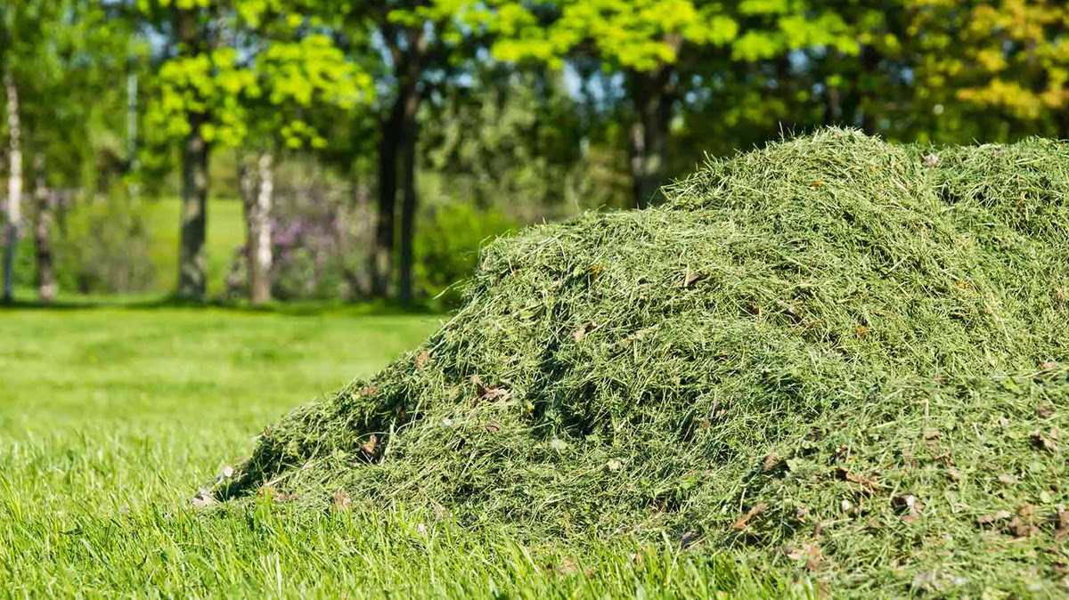 What To Do With Cut Grass | Storables