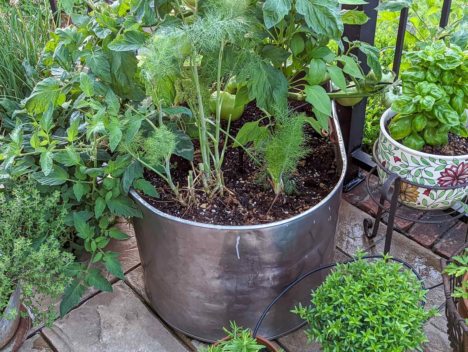 What To Fill Outdoor Planters With