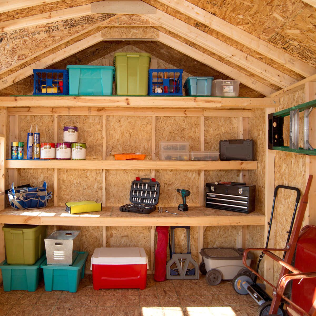 What To Store In A Shed