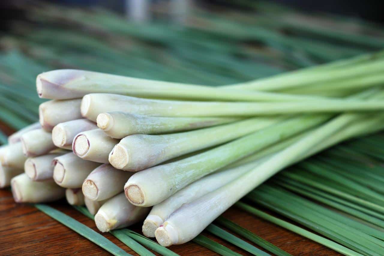 What To Substitute For Lemongrass