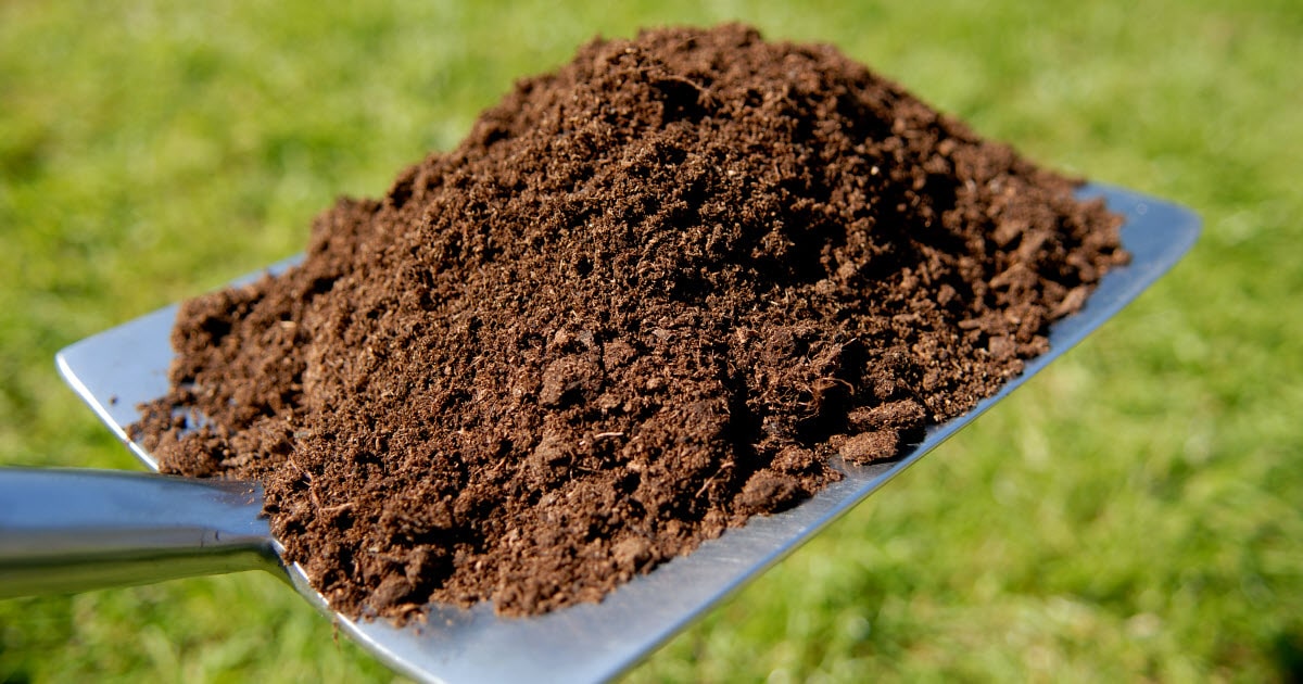 What Topsoil For Grass Seed