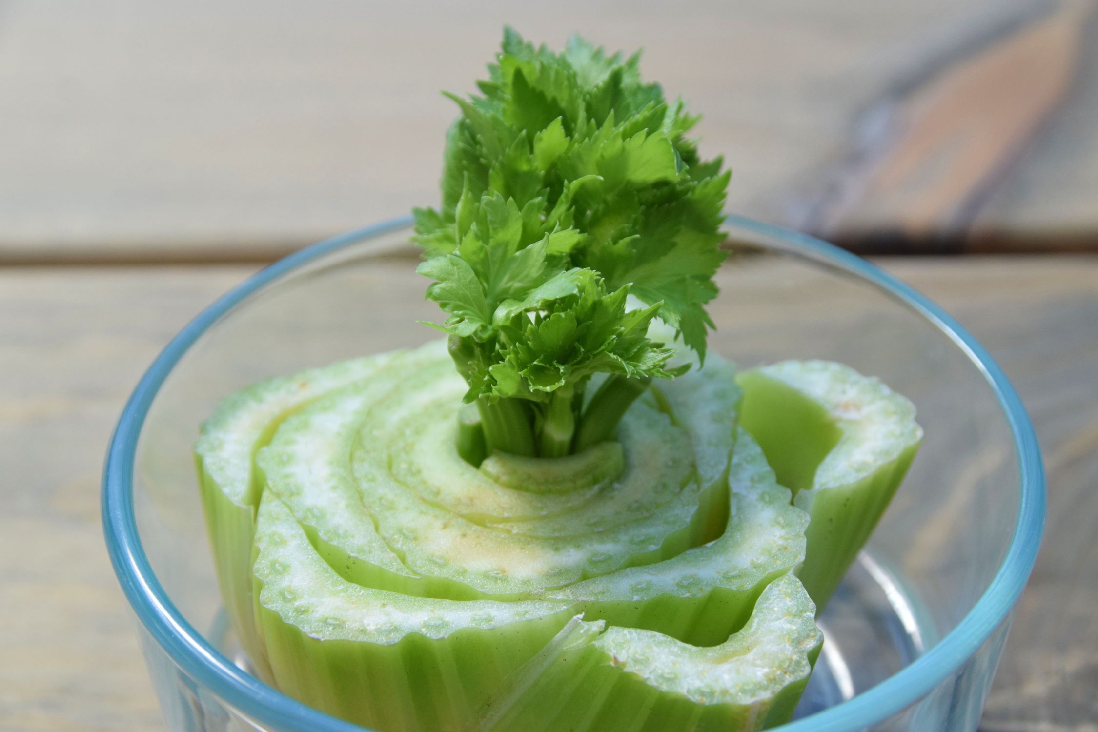 What Will Happen To A Celery Stick That Is Placed In A Glass Of Water?