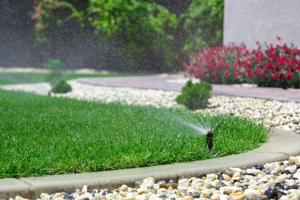 When Is The Best Time To Water Grass In Hot Weather