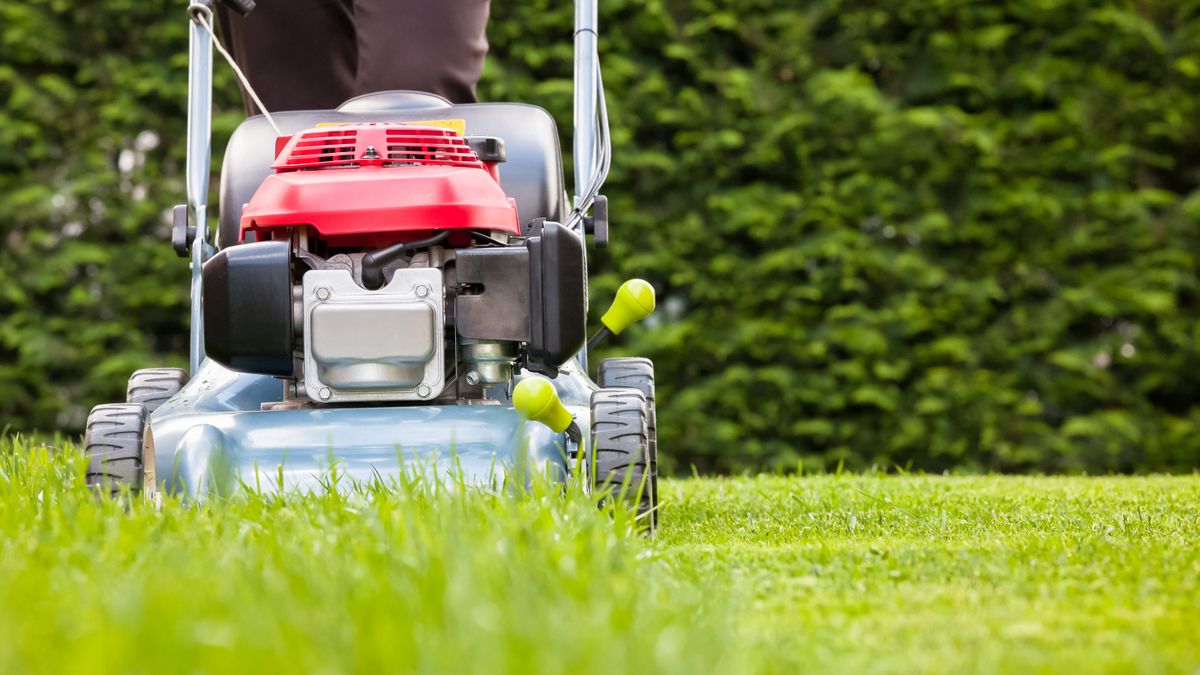 When To First Cut The Grass