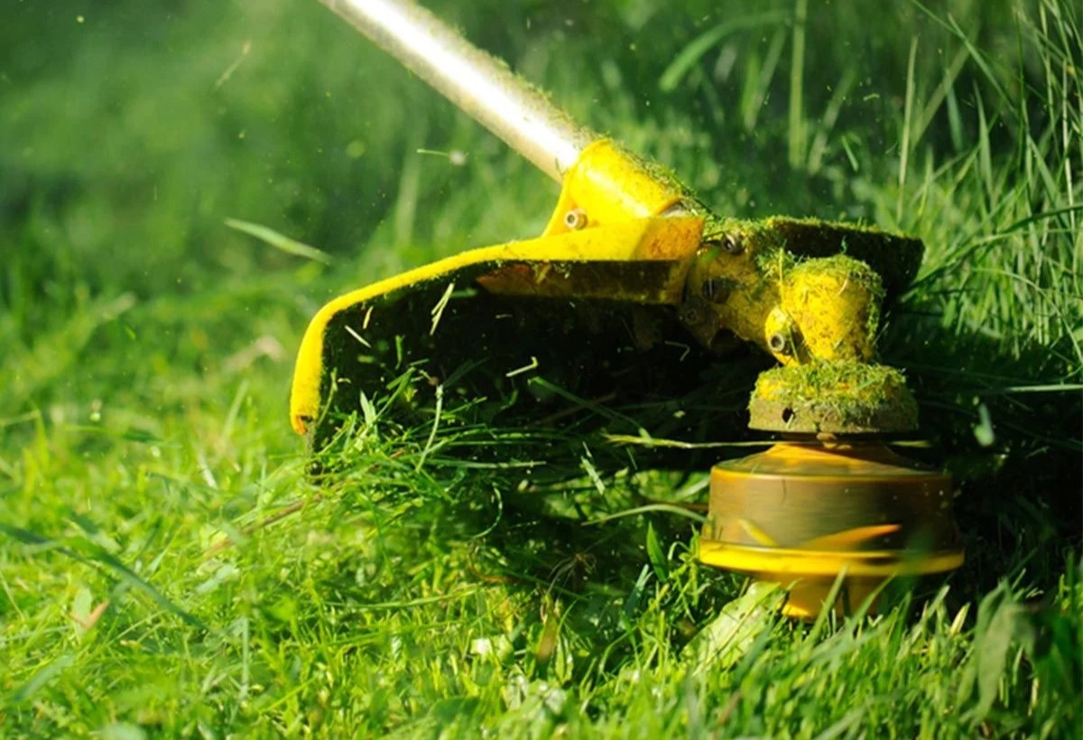 When To Leave Grass Clippings