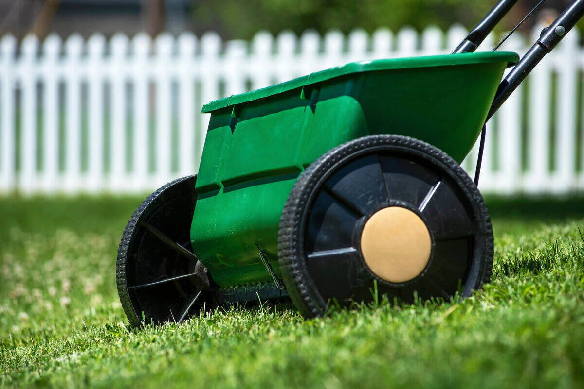 When To Mow New Grass After Overseeding