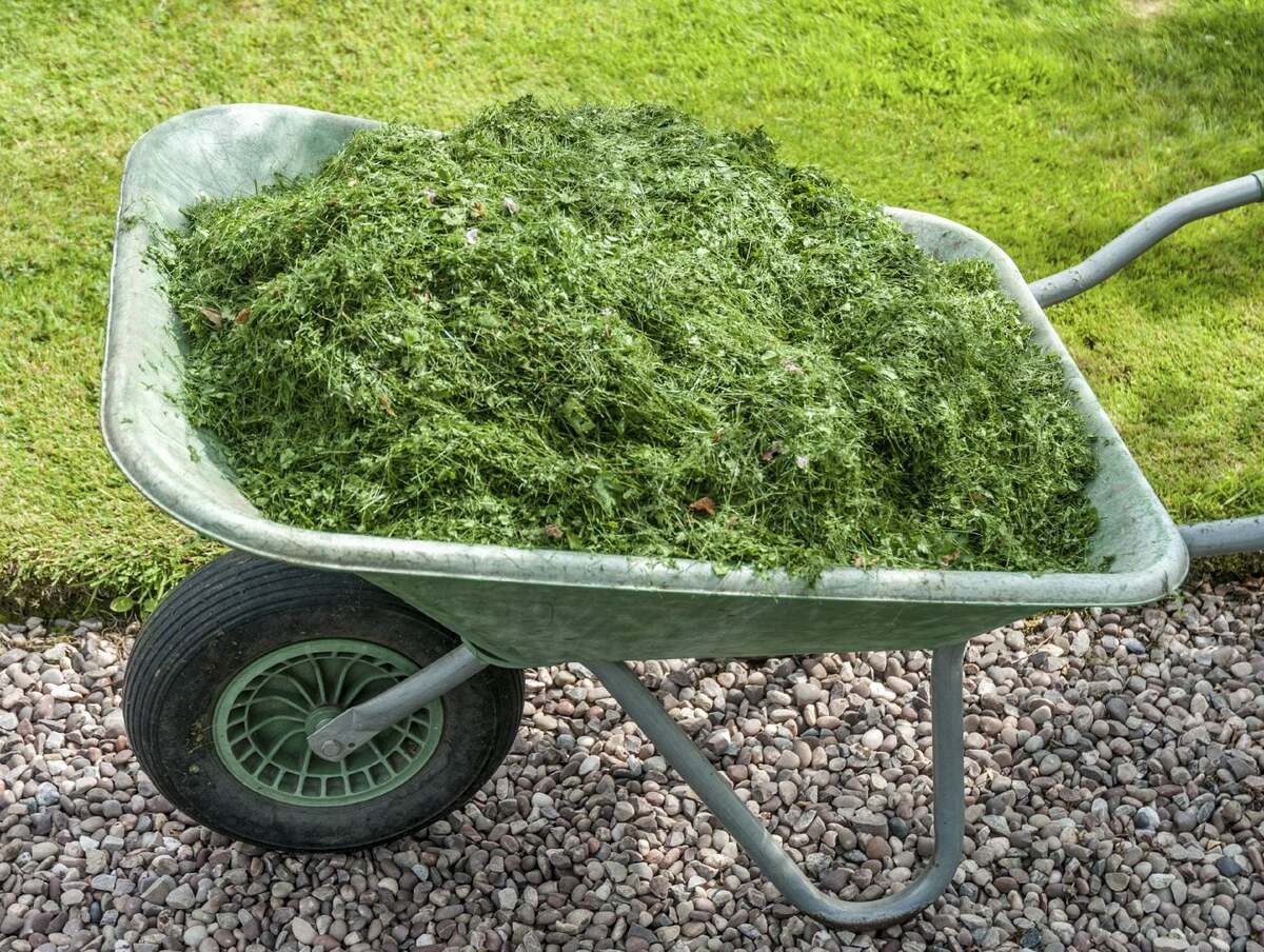 When To Mulch Your Grass