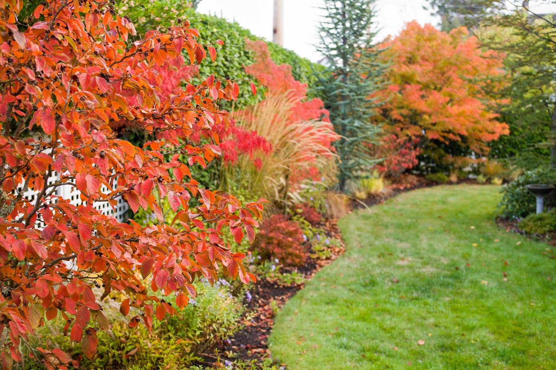 When To Plant Grass In Fall