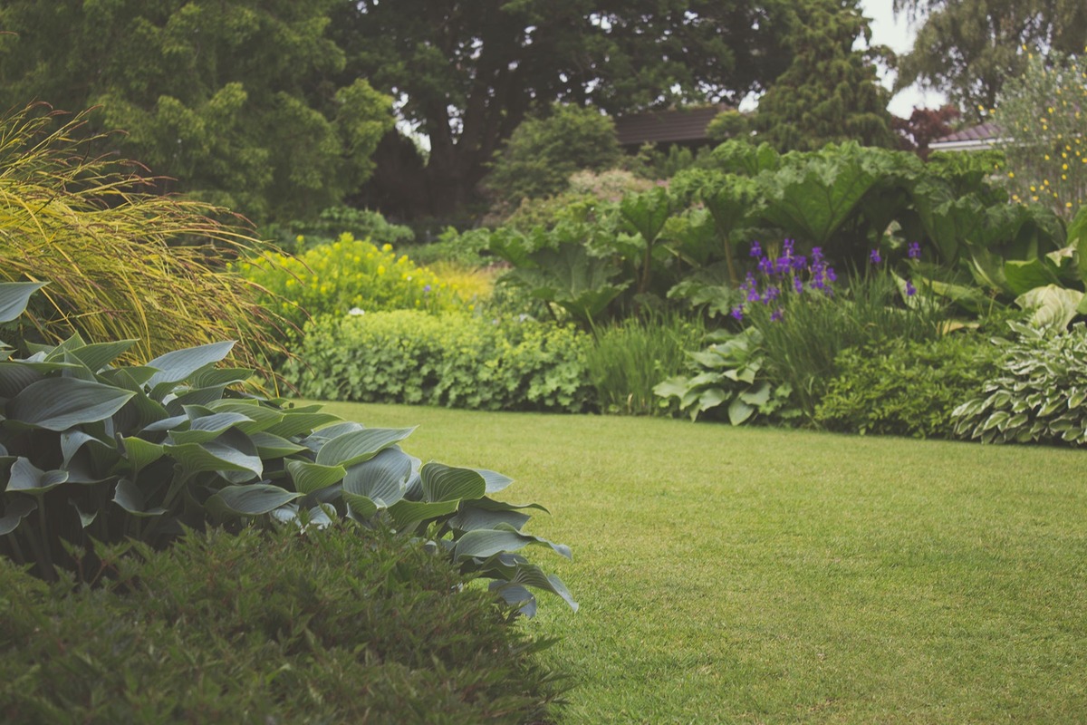 When To Plant Grass In Washington State