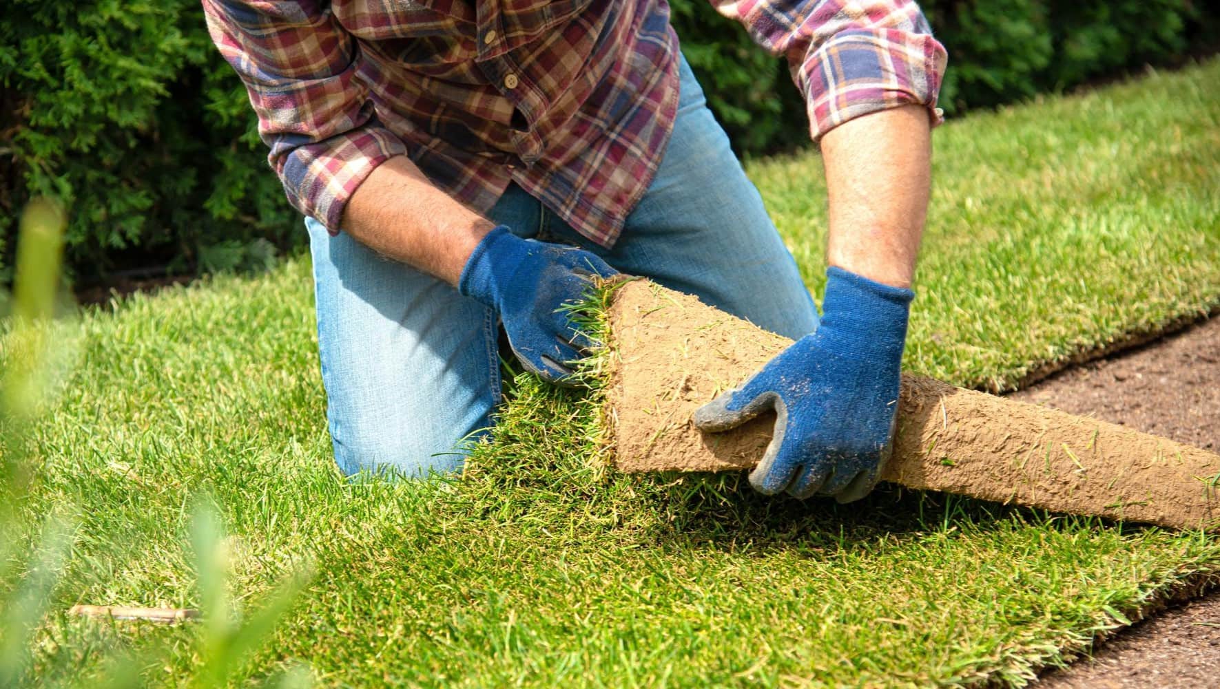 When To Plant Grass In Wisconsin