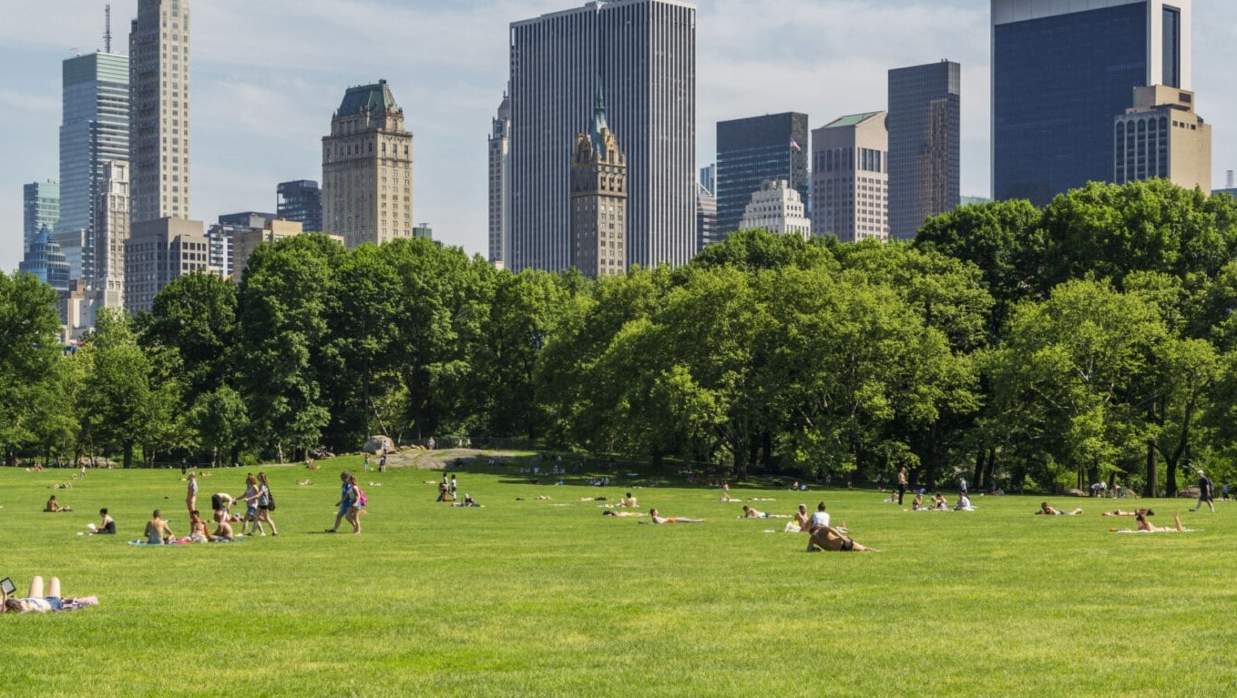 When To Plant Grass Seed In New York