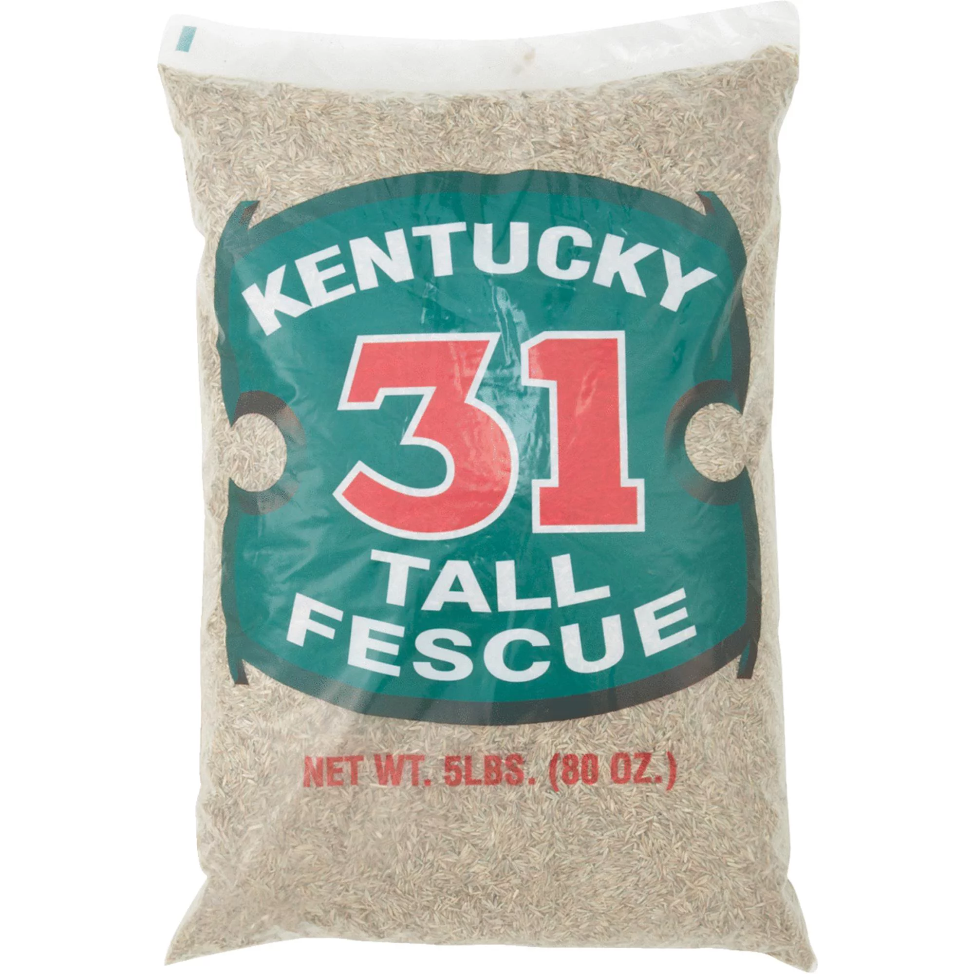 When To Plant Kentucky 31 Fescue Grass Seed