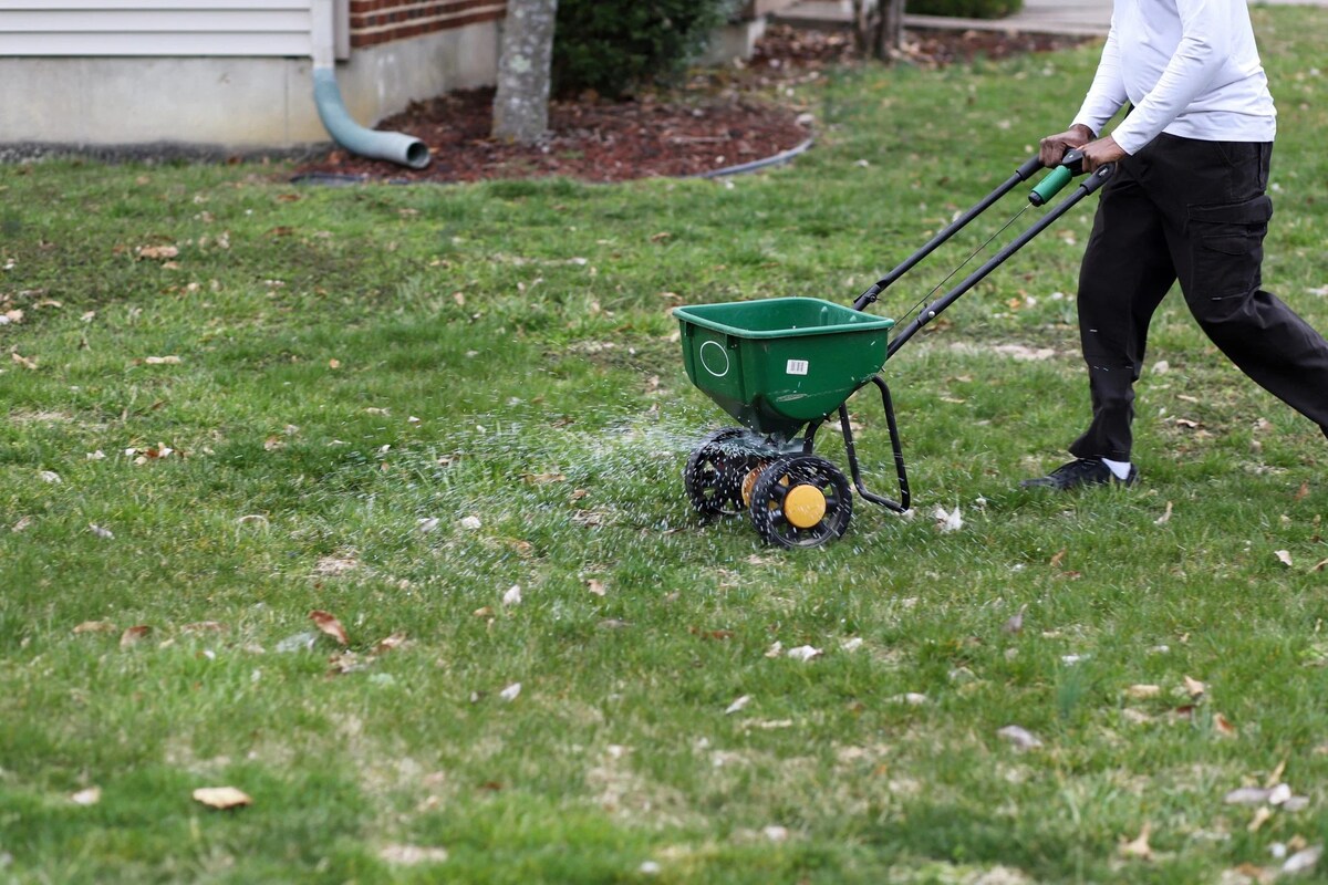 When To Put Grass Seed Down In The Fall