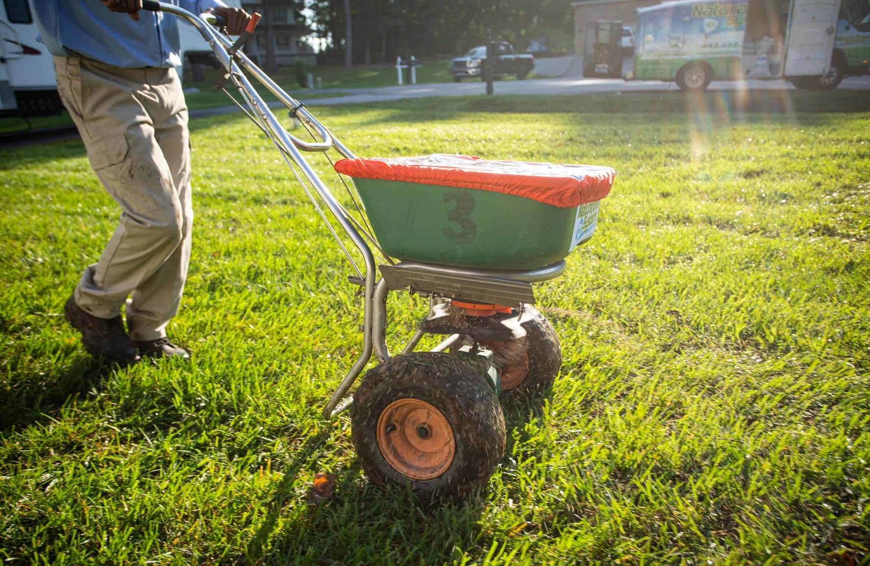 When To Put Grass Seed Down In The Spring
