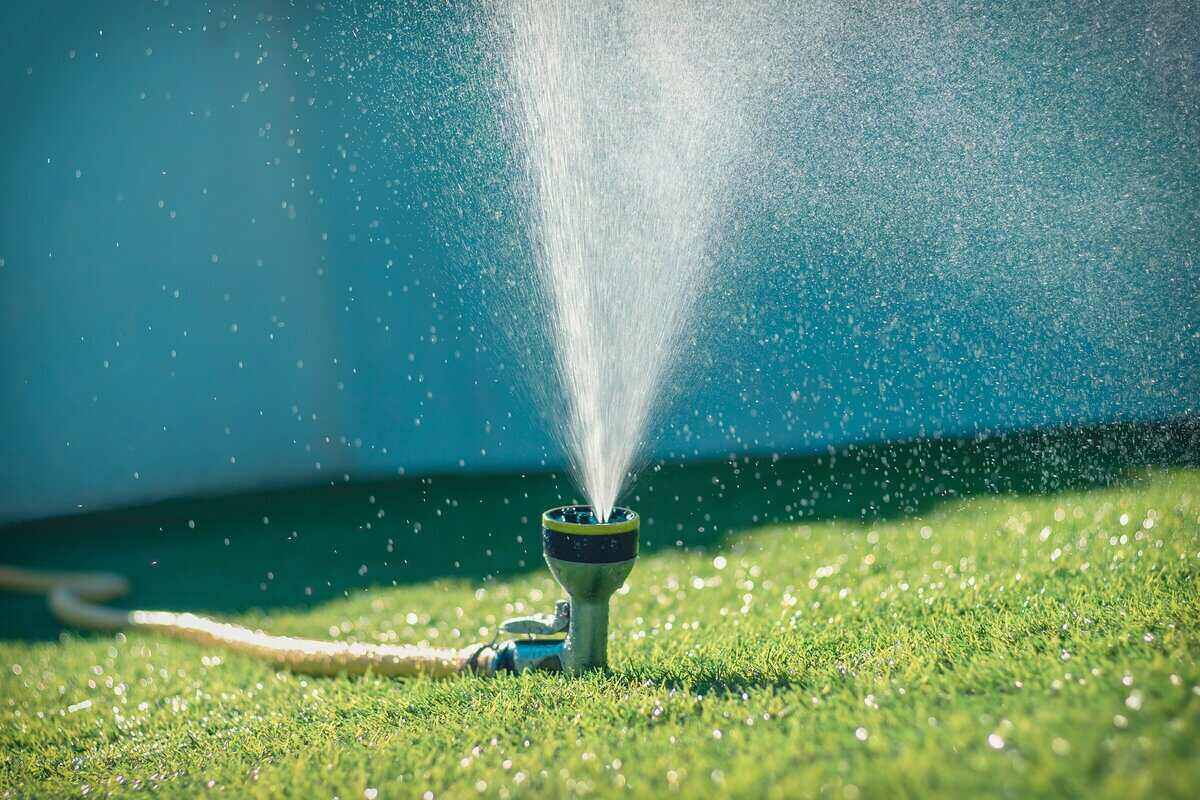 When To Start Watering Grass After Winter