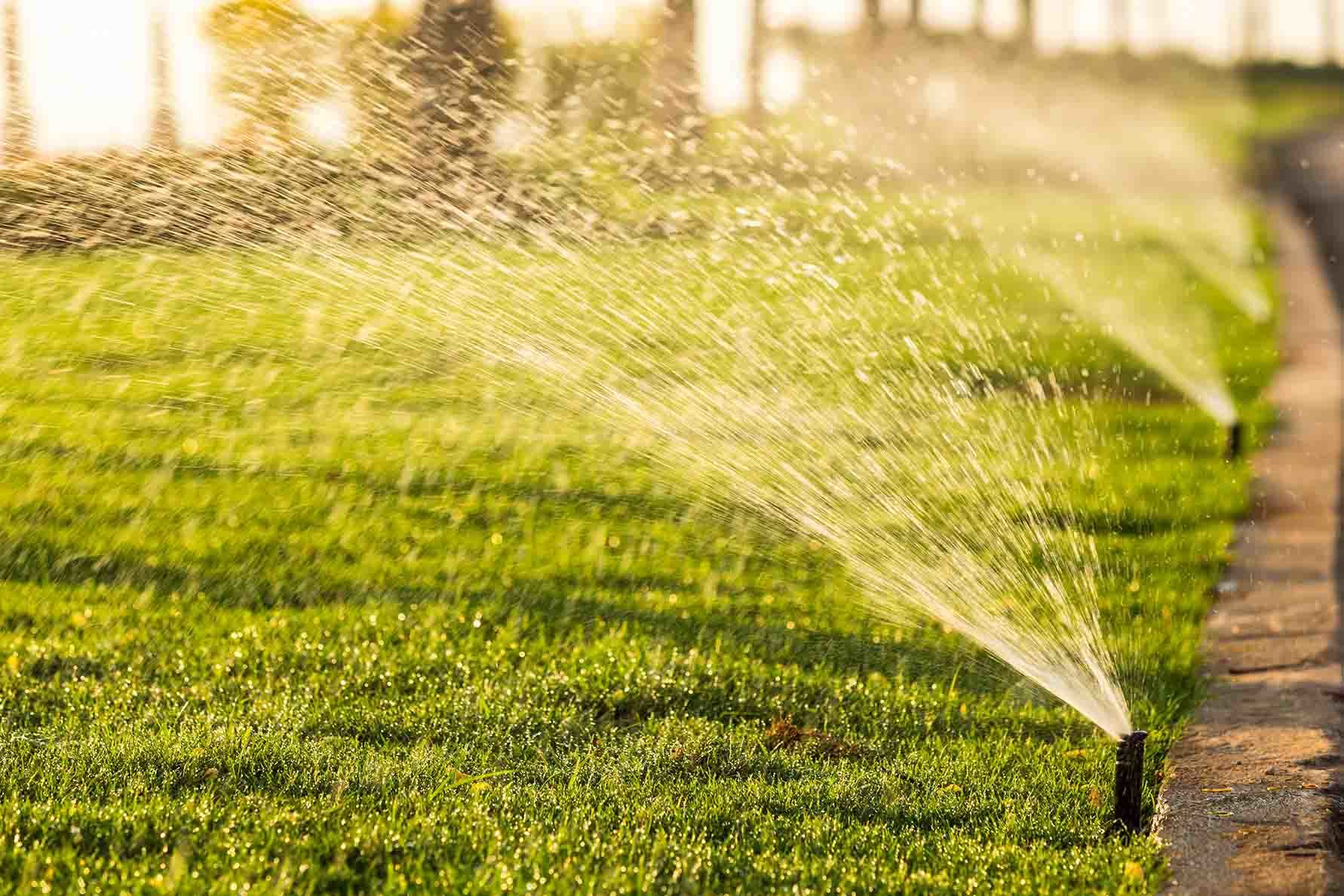 When To Stop Watering Grass