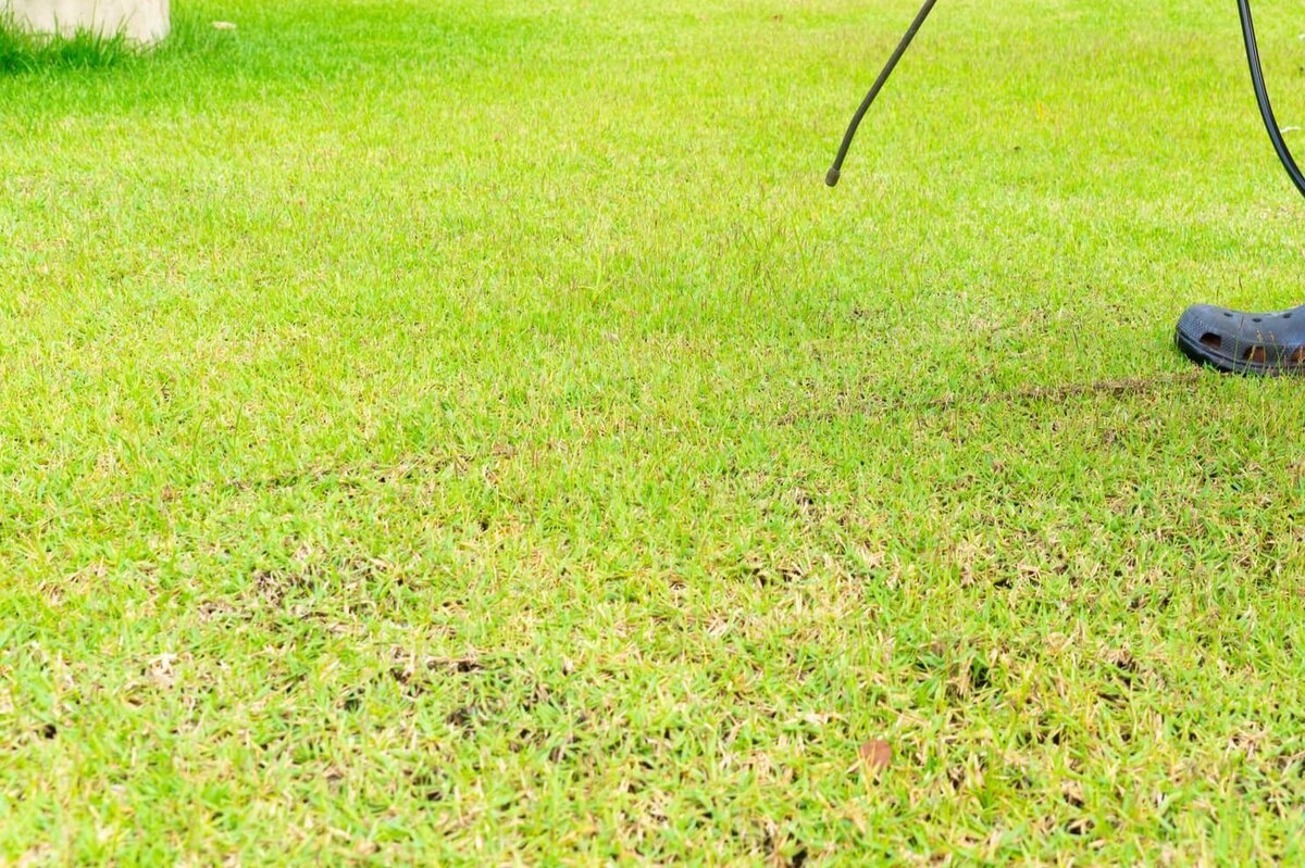 When To Use Weed Killer On New Grass