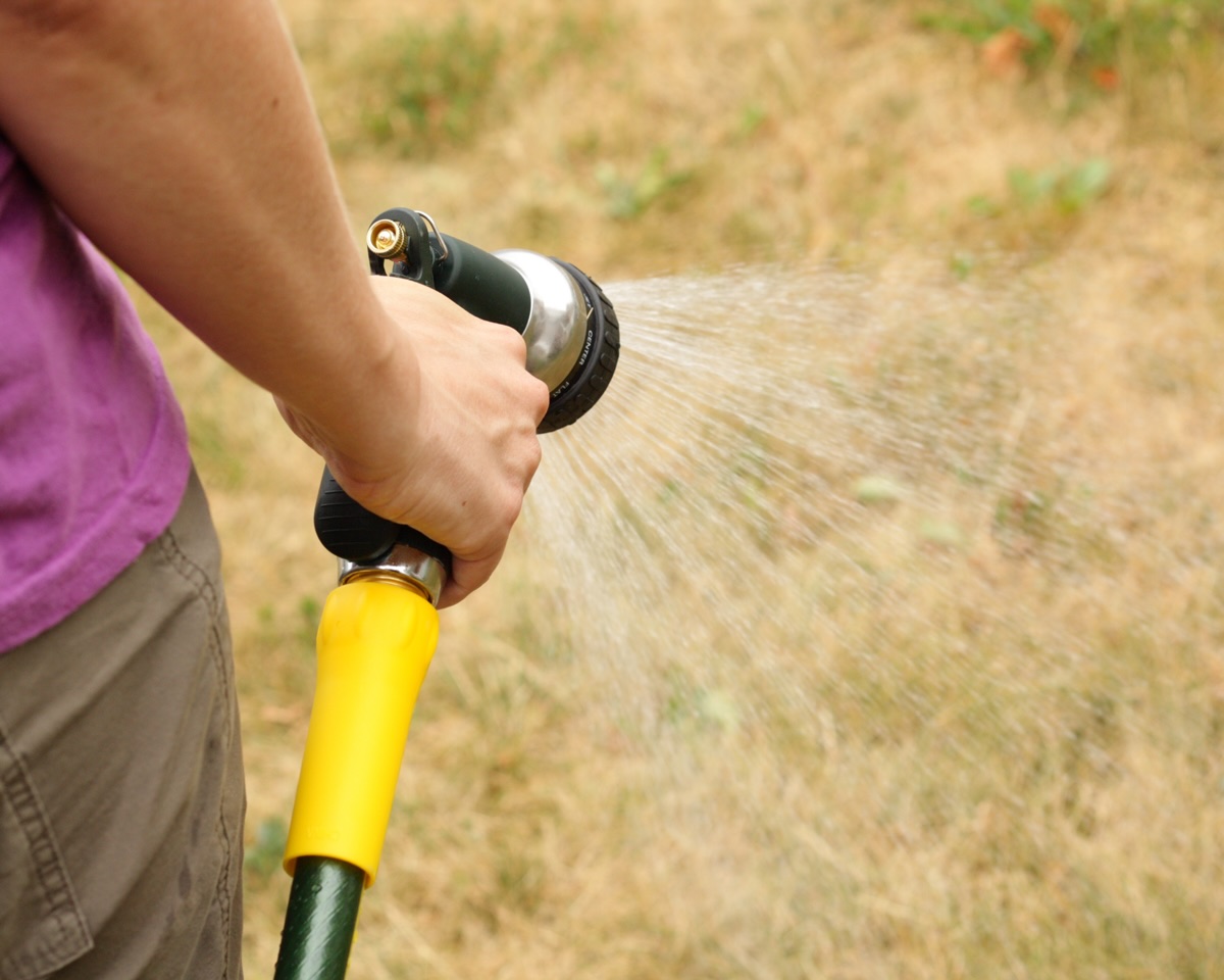 When To Water My Grass In San Antonio